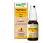Herbalgem Propoleo Amplioespectro Nf Spray Bio 15Ml
