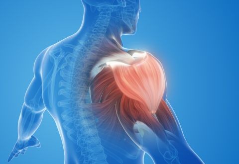 Agujetas y Recuperación: Tu Kit de Supervivencia para Vencer el Dolor Post-Gimnasio en Febrero